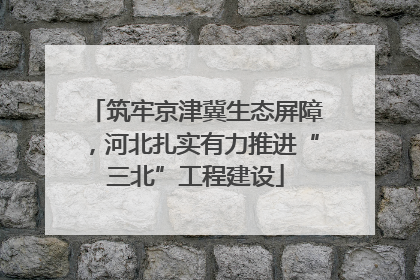 筑牢京津冀生态屏障，河北扎实有力推进“三北”工程建设