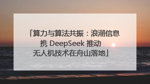 算力与算法共振：浪潮信息携 DeepSeek 推动无人机技术在舟山落地