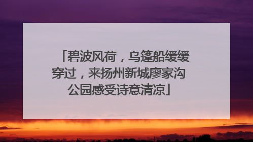 碧波风荷，乌篷船缓缓穿过，来扬州新城廖家沟公园感受诗意清凉