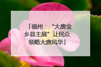 福州：“大唐金乡县主展”让民众领略大唐风华