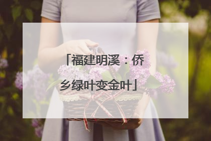 福建明溪：侨乡绿叶变金叶