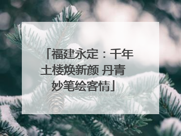 福建永定：千年土楼焕新颜 丹青妙笔绘客情