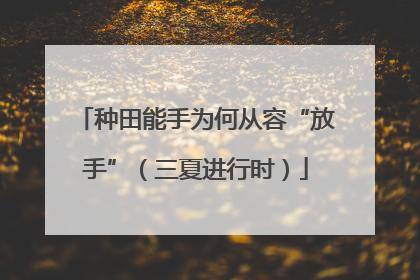 种田能手为何从容“放手”（三夏进行时）