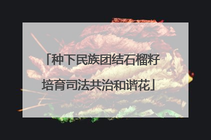 种下民族团结石榴籽 培育司法共治和谐花