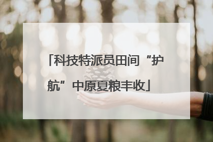 科技特派员田间“护航”中原夏粮丰收