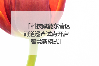科技赋能东营区河道巡查试点开启智慧新模式
