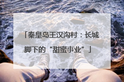 秦皇岛王汉沟村：长城脚下的“甜蜜事业”