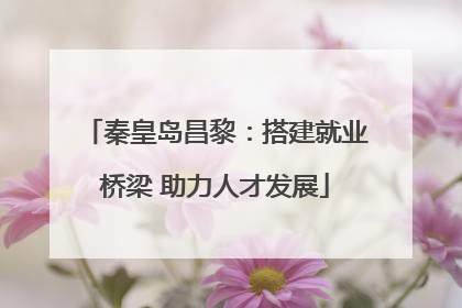 秦皇岛昌黎：搭建就业桥梁 助力人才发展