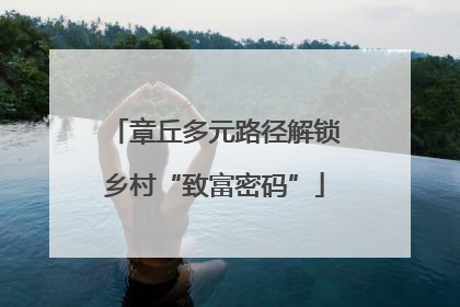 章丘多元路径解锁乡村“致富密码”
