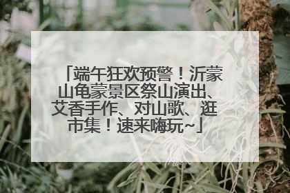 端午狂欢预警！沂蒙山龟蒙景区祭山演出、艾香手作、对山歌、逛市集！速来嗨玩~