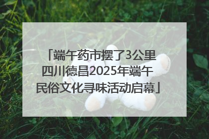 端午药市摆了3公里 四川德昌2025年端午民俗文化寻味活动启幕