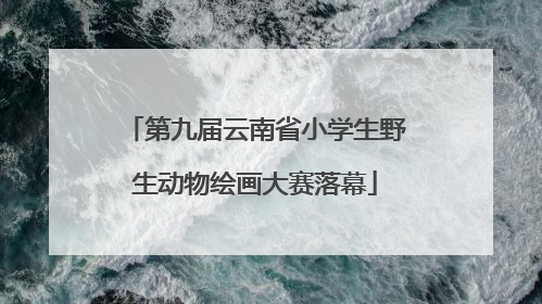 第九届云南省小学生野生动物绘画大赛落幕