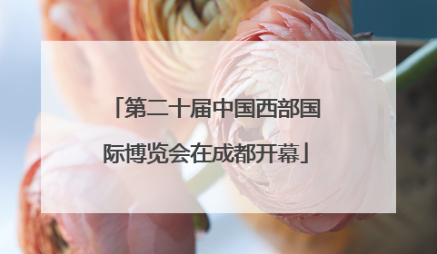 第二十届中国西部国际博览会在成都开幕
