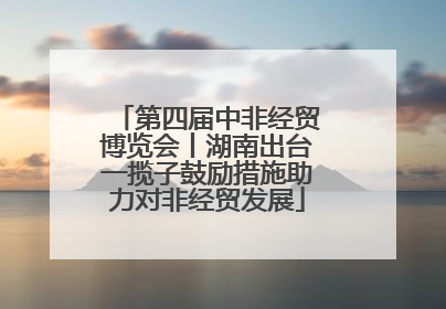第四届中非经贸博览会丨湖南出台一揽子鼓励措施助力对非经贸发展