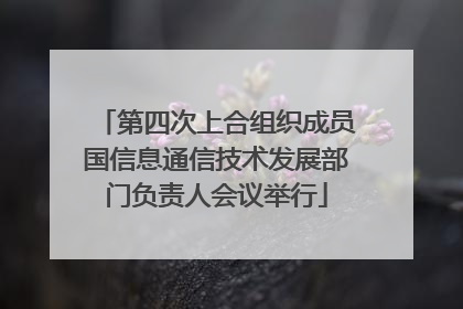 第四次上合组织成员国信息通信技术发展部门负责人会议举行