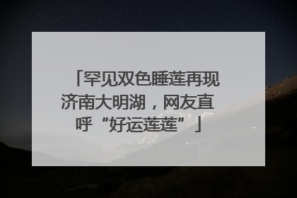 罕见双色睡莲再现济南大明湖，网友直呼“好运莲莲”
