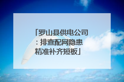 罗山县供电公司：排查配网隐患 精准补齐短板