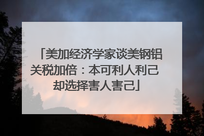 美加经济学家谈美钢铝关税加倍：本可利人利己 却选择害人害己