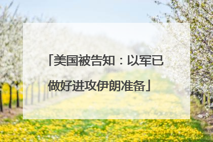 美国被告知：以军已做好进攻伊朗准备