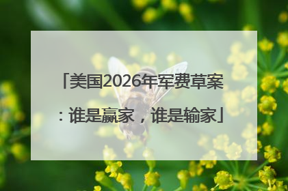美国2026年军费草案：谁是赢家，谁是输家