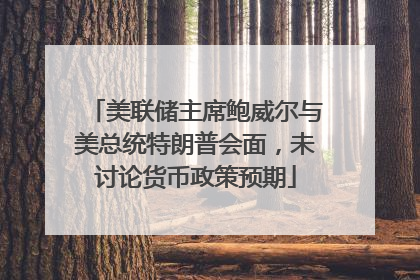 美联储主席鲍威尔与美总统特朗普会面，未讨论货币政策预期
