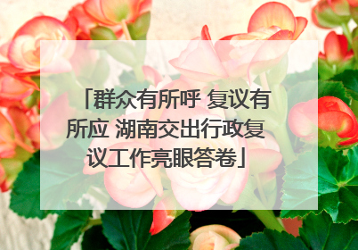 群众有所呼 复议有所应 湖南交出行政复议工作亮眼答卷