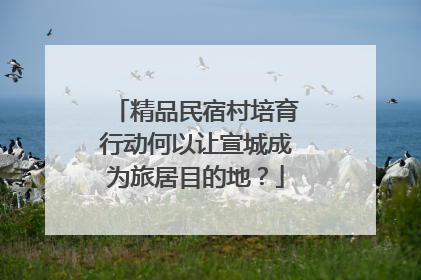 精品民宿村培育行动何以让宣城成为旅居目的地？
