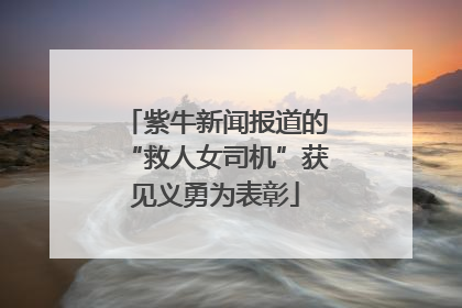 紫牛新闻报道的“救人女司机”获见义勇为表彰