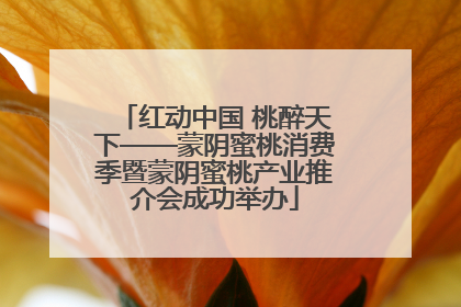 红动中国 桃醉天下——蒙阴蜜桃消费季暨蒙阴蜜桃产业推介会成功举办