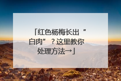 红色杨梅长出“白肉”？这里教你处理方法→