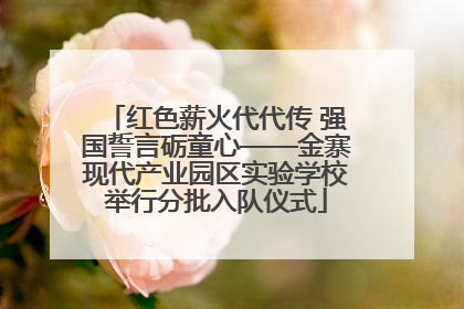 红色薪火代代传 强国誓言砺童心——金寨现代产业园区实验学校举行分批入队仪式