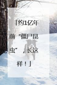 约1亿年前“僵尸昆虫”，长这样！