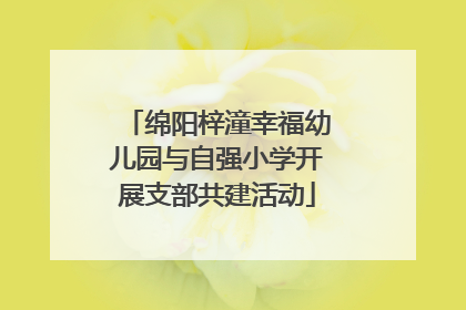绵阳梓潼幸福幼儿园与自强小学开展支部共建活动
