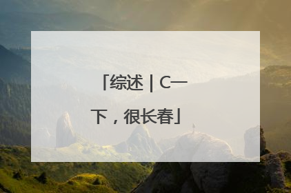 综述｜C一下，很长春