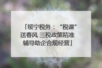 绥宁税务：“税课”送春风 三税政策精准辅导助企合规经营
