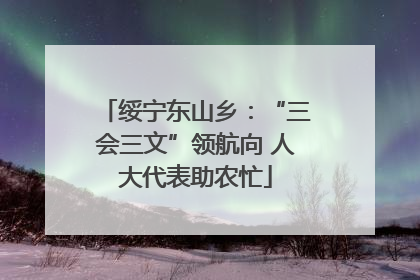 绥宁东山乡：“三会三文”领航向 人大代表助农忙