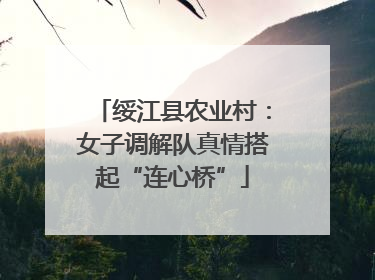 绥江县农业村：女子调解队真情搭起“连心桥”