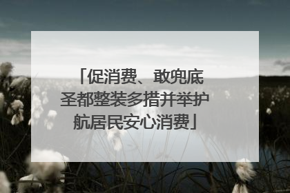 促消费、敢兜底 圣都整装多措并举护航居民安心消费