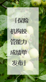 保险机构投管能力成绩单发布