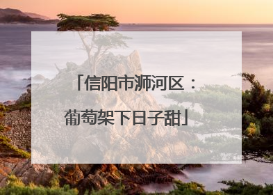 信阳市浉河区：葡萄架下日子甜
