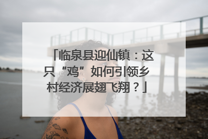 临泉县迎仙镇：这只“鸡”如何引领乡村经济展翅飞翔？