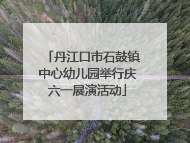 丹江口市石鼓镇中心幼儿园举行庆六一展演活动