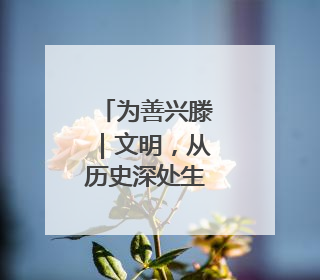 为善兴滕｜文明，从历史深处生长出来