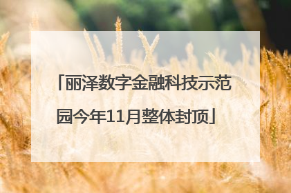 丽泽数字金融科技示范园今年11月整体封顶