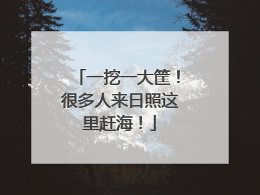 一挖一大筐！很多人来日照这里赶海！
