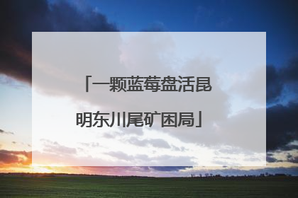 一颗蓝莓盘活昆明东川尾矿困局