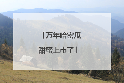 万年哈密瓜甜蜜上市了