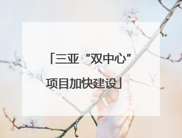 三亚“双中心”项目加快建设