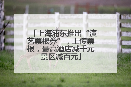 上海浦东推出“演艺票根券”，上传票根，最高酒店减千元景区减百元
