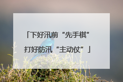 下好汛前“先手棋” 打好防汛“主动仗”